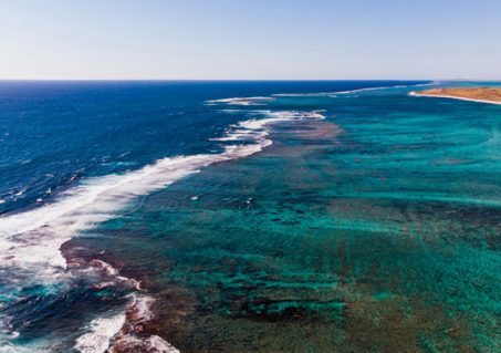 The Ningaloo Reef, in Western Australia’s remote North West Cape, is home to the world’s largest and longest “fringing” reef—a coral reef that lies close to shore. (Photo by Ben Carless)