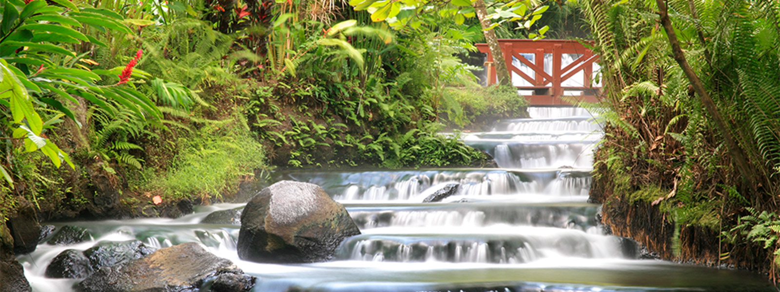 Jewels of Costa Rica and the Southern Milky Way - TravelQuest International